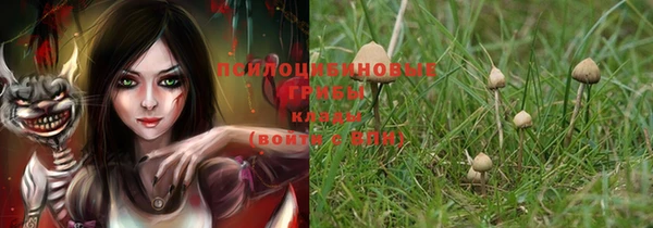 ECSTASY Киреевск