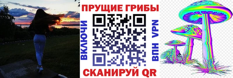Купить  Иркутск  Псилоцибиновые грибы Magic Shrooms 